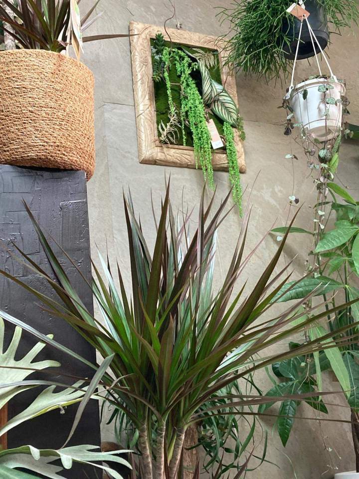 Embellissez votre intérieur !