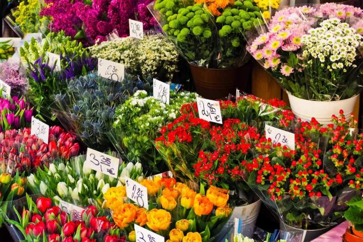 Vente de fleurs Morestel